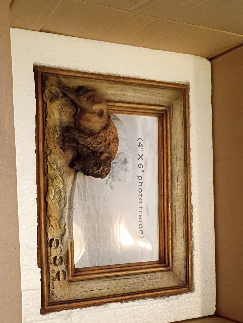 Mill Creek Studios 3D Buffalo Photo Frame 4x6 New In Box